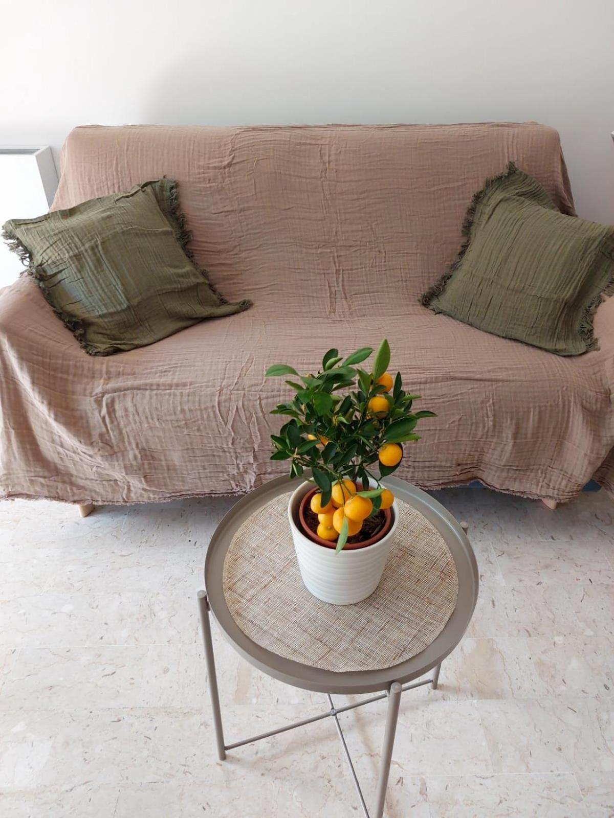 Appartement 2P Renove Avec Terrasse Au Port De Nice Eksteriør billede